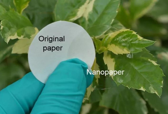 04.webp.jpg 04.webp.jpg